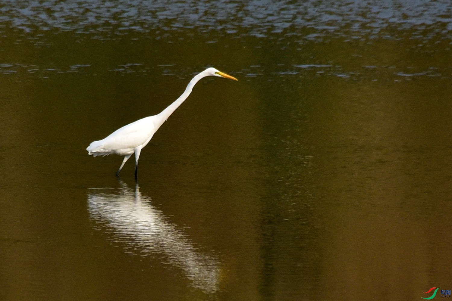 DSC_3657.JPG