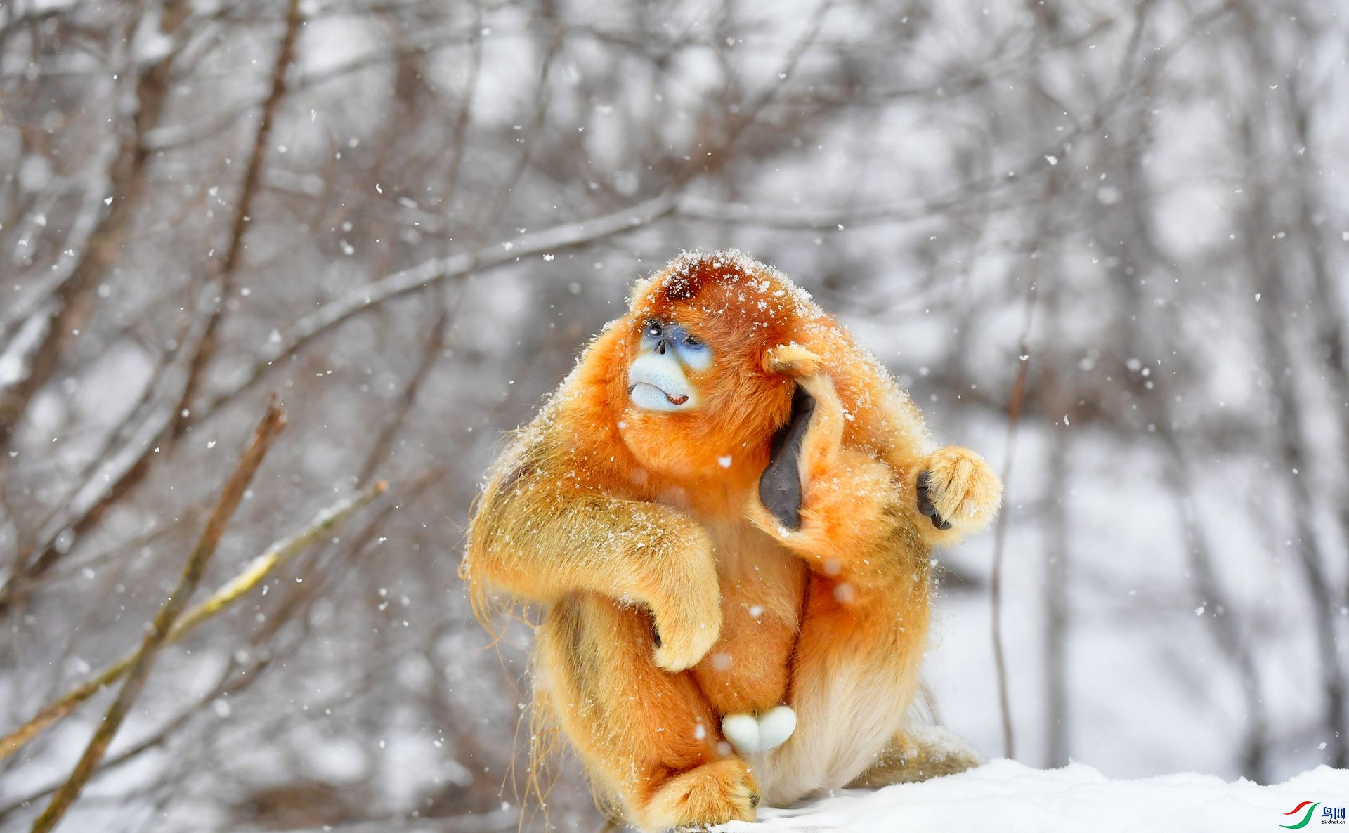 DSC_2747 (2)-Exposure.jpg