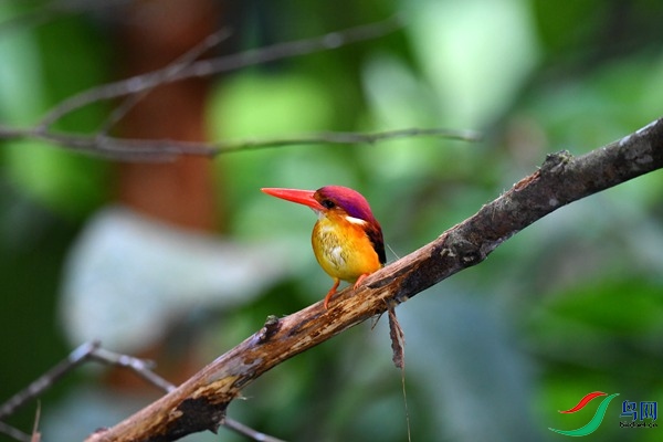 File0000046131.jpg