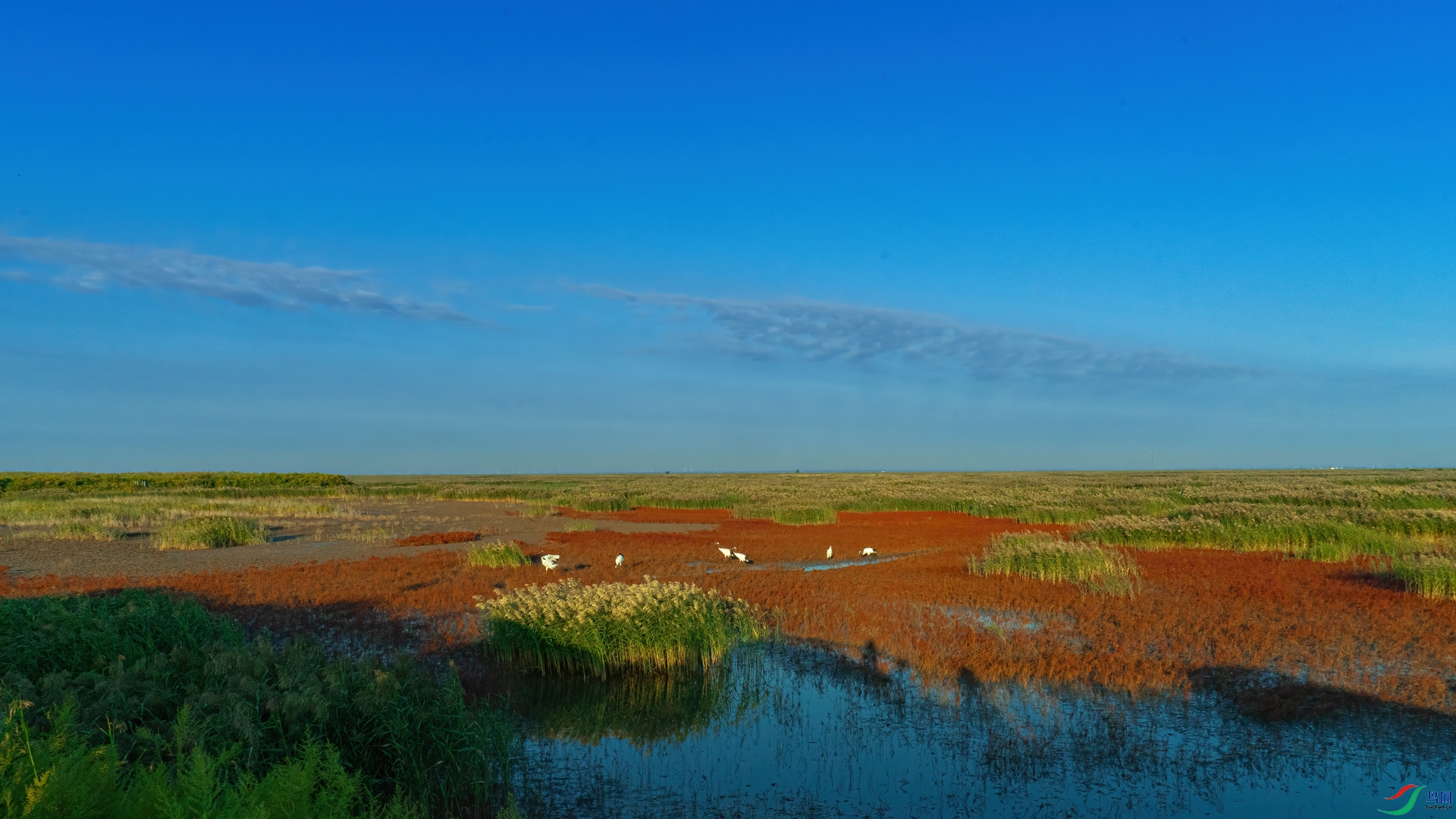 ����캣̲DSC06018.jpg