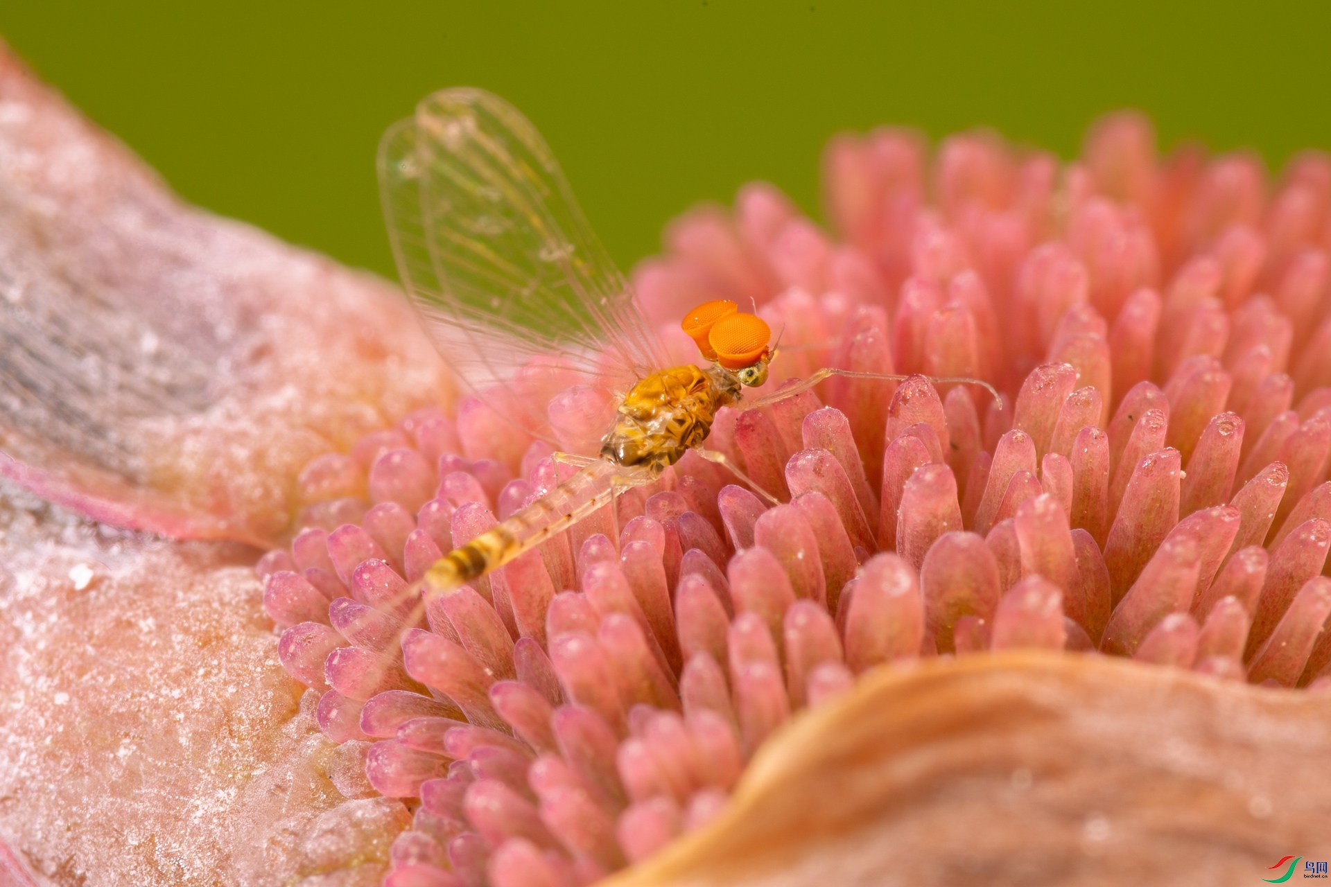 2S6A3356.jpg