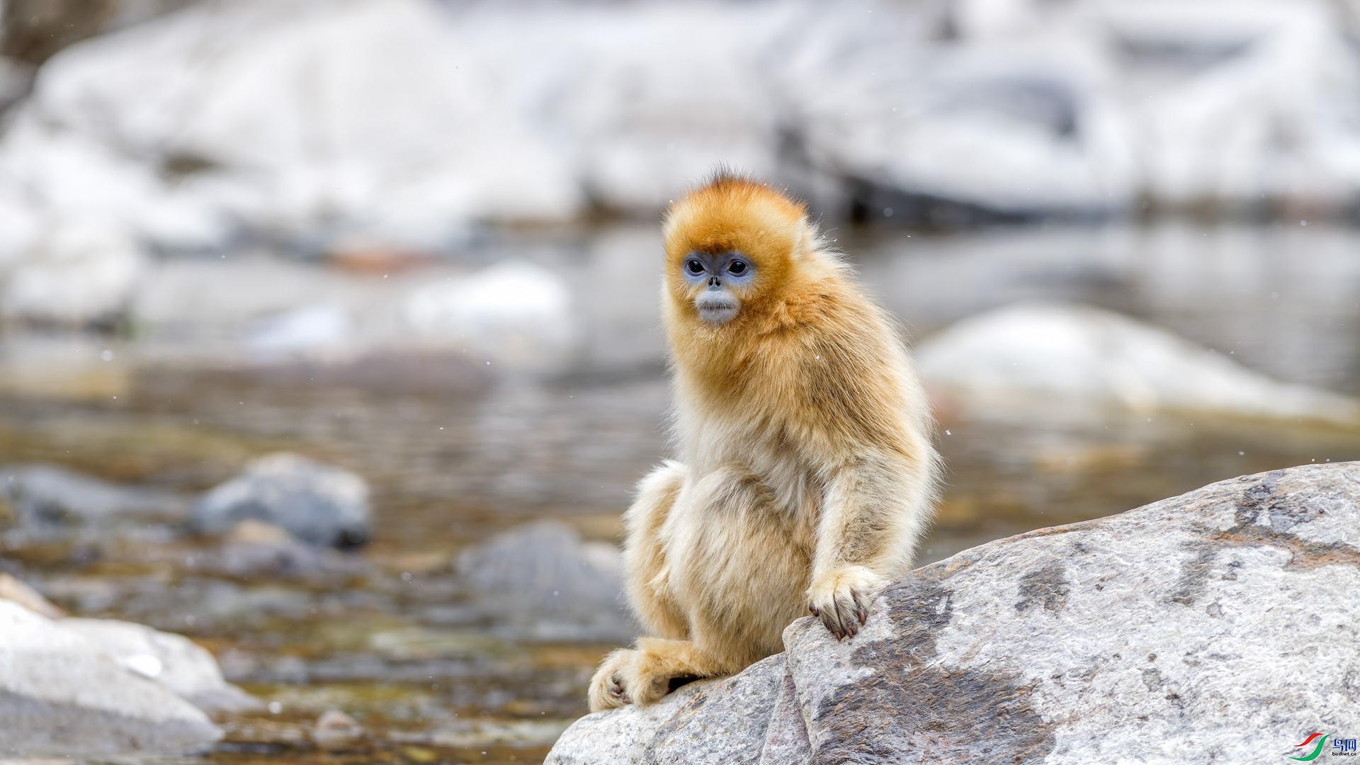 DSC_5522_DxO1-1.jpg