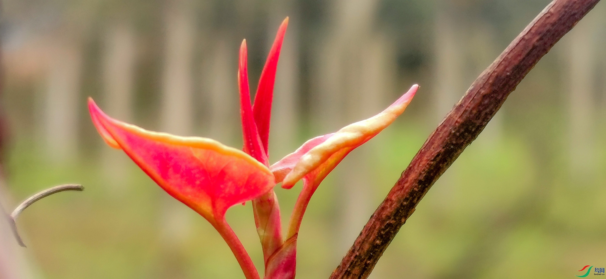 �������ˣ�