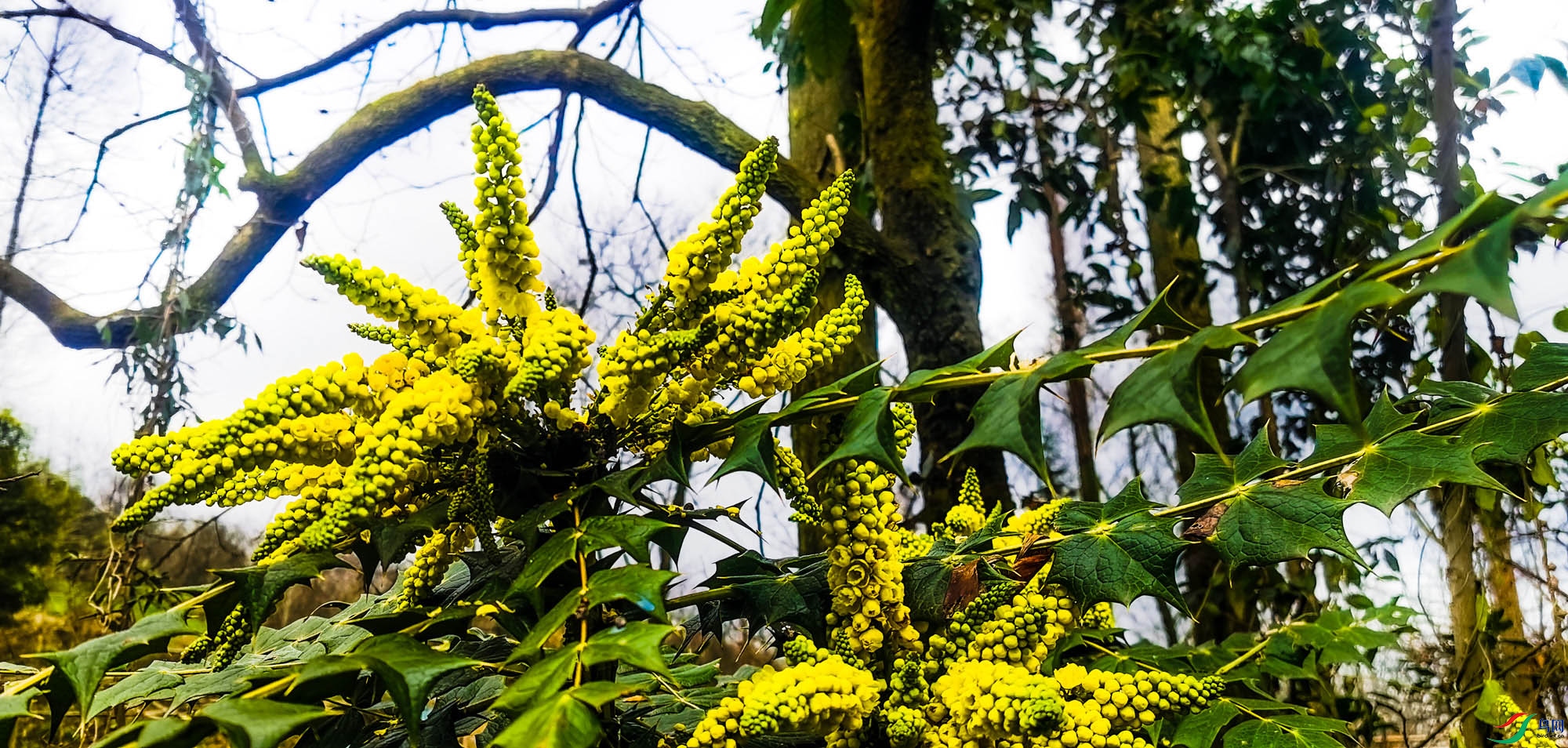 �������ˣ�