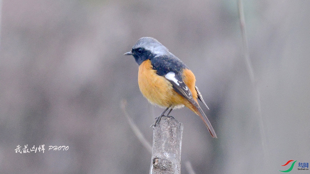 DSC_7869.jpg