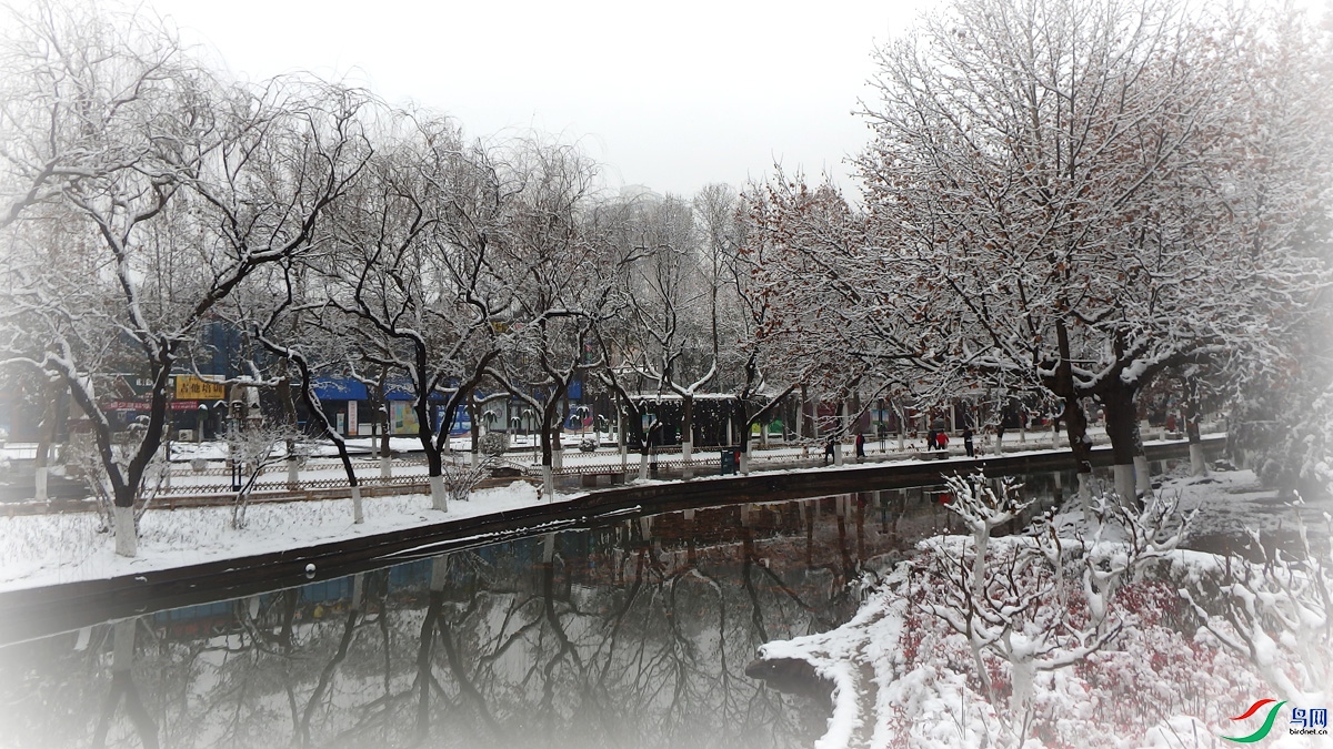 P2180985.jpg