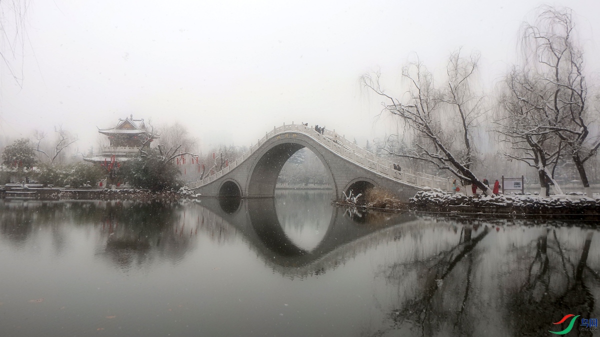 P2181016.jpg