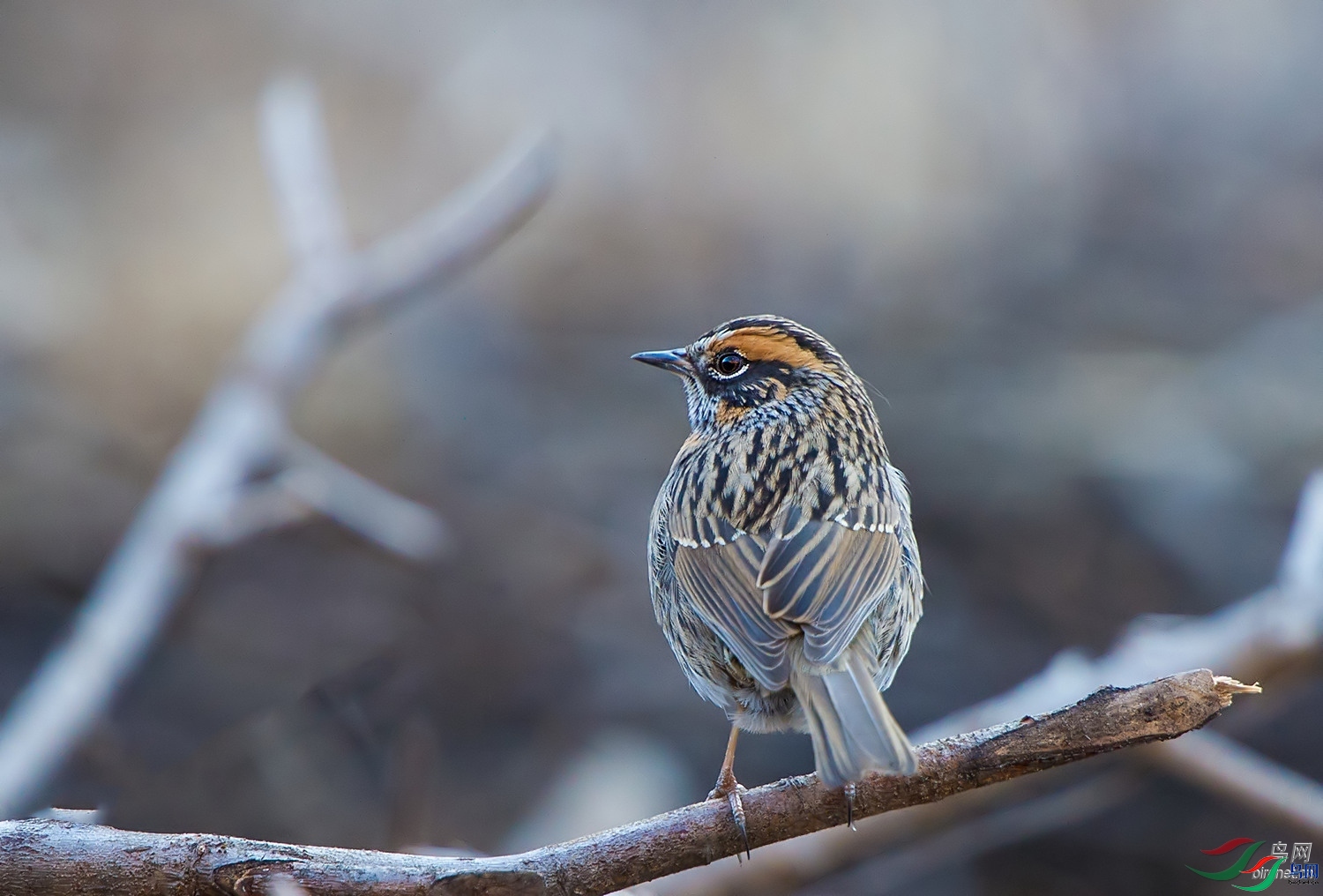 ��֮�Ժ�  ��ʦ����.jpg