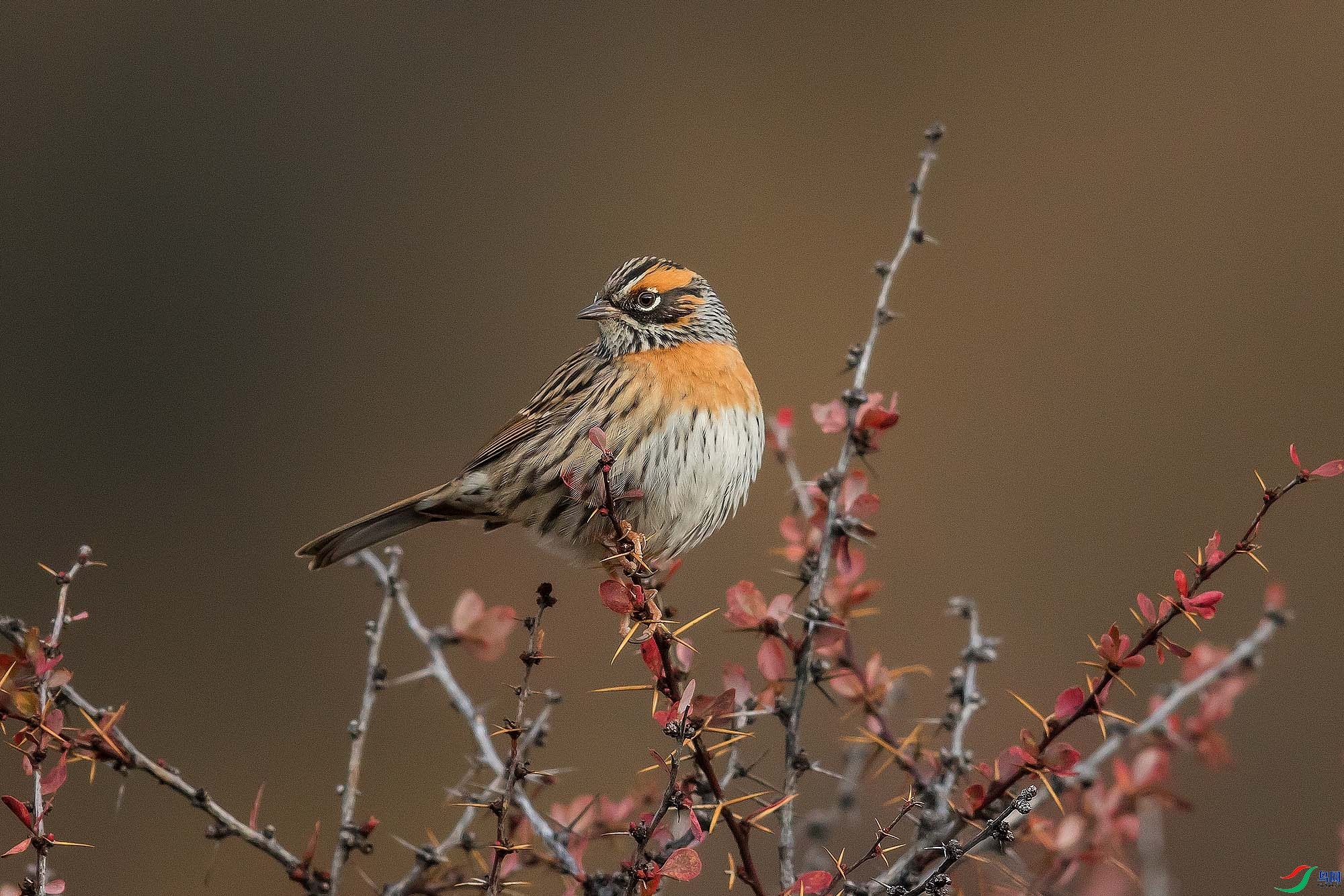 ɽɽɽ  ��ʦ�������Ĵ�ʡ���β��������ݸ�����.jpg