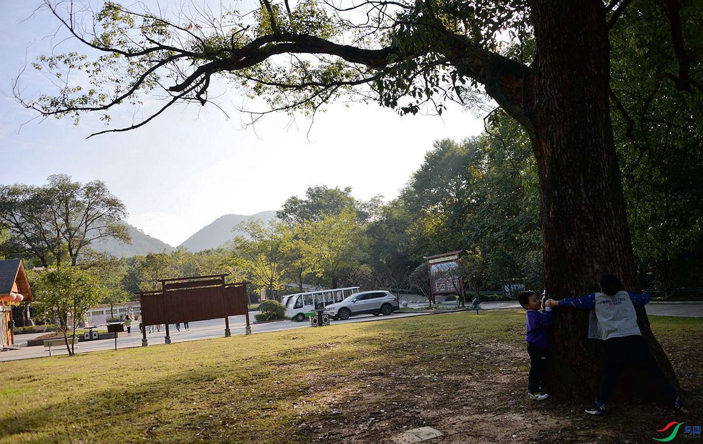 377 (36)_����.jpg