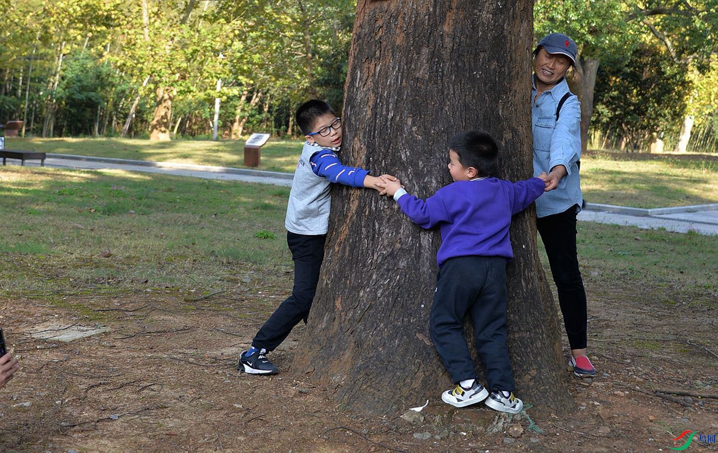 377 (37)_����_����.jpg