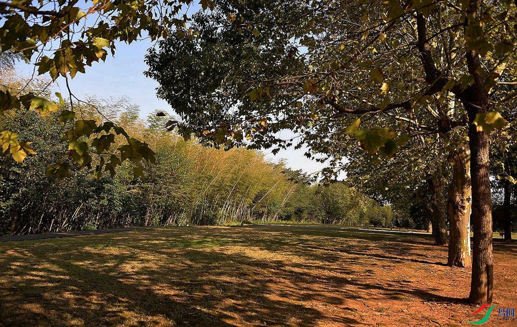 377 (35)_����_����.jpg