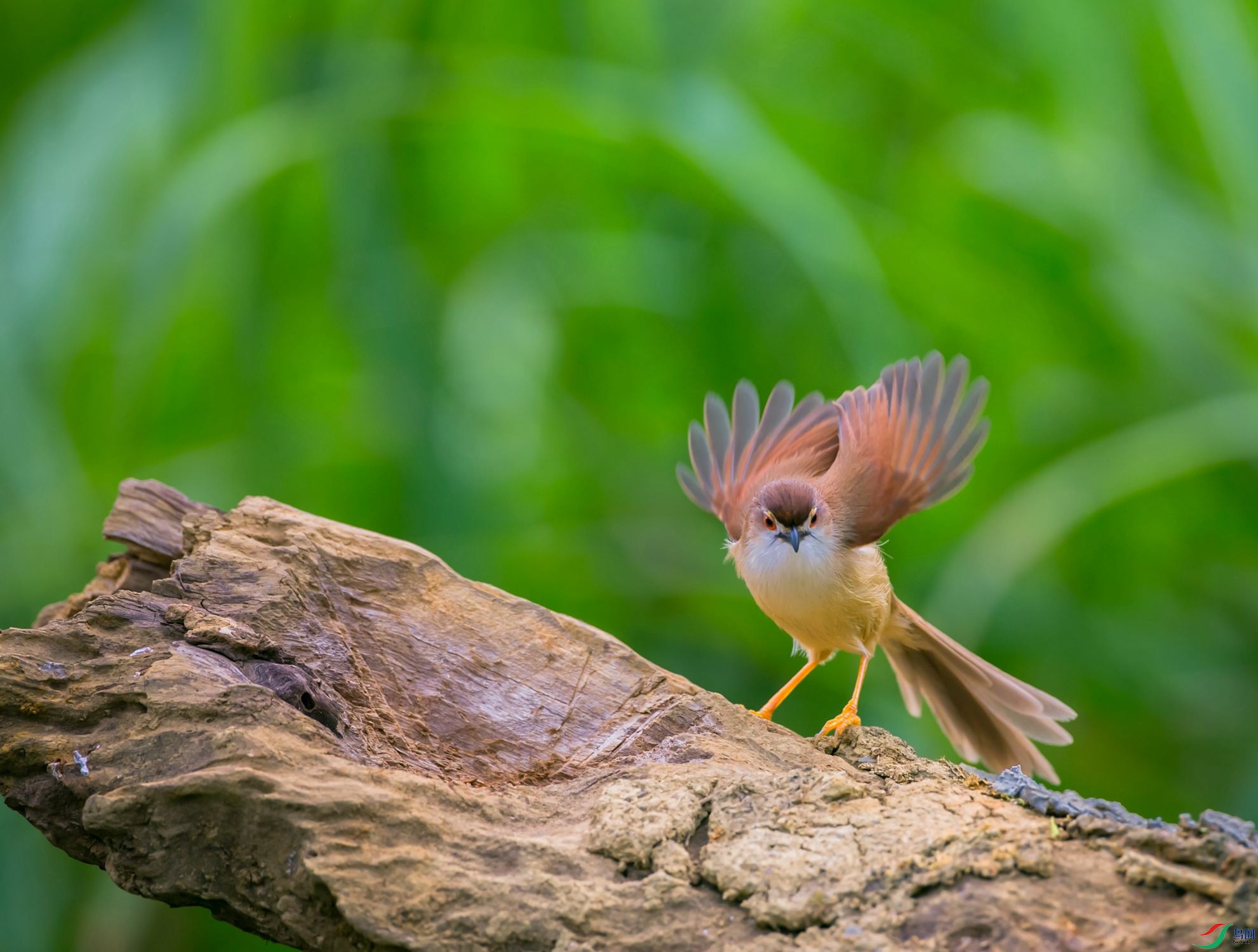 ������ȸ