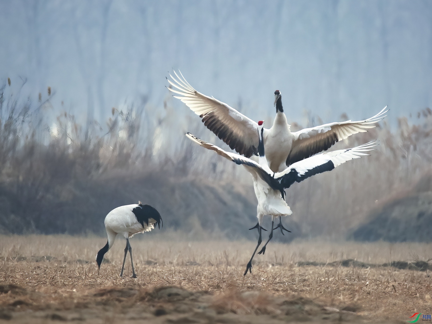 s2N7A7931ss ����.jpg