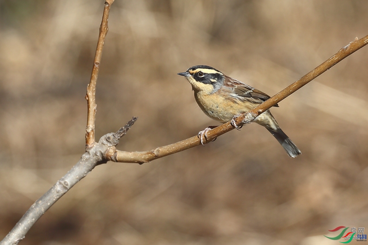 F6.7  ��ʦ����������ʡ�������躣��.jpg