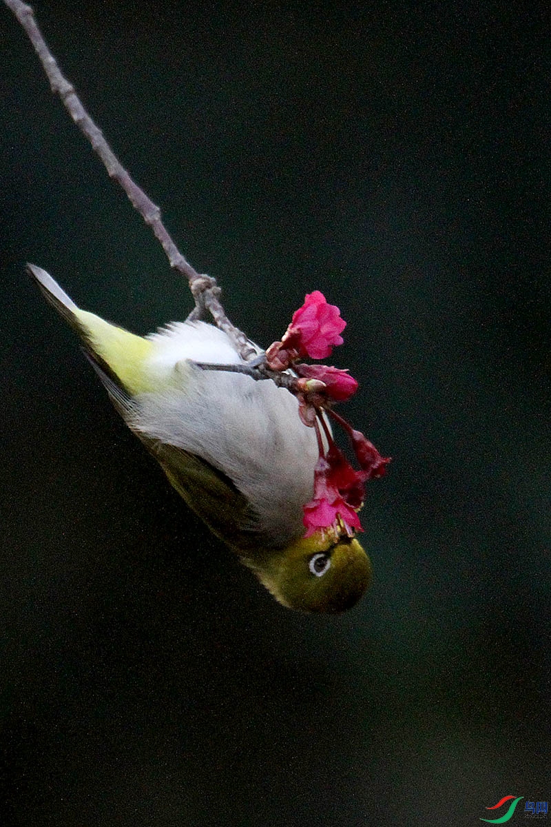 IMG_3836.jpg