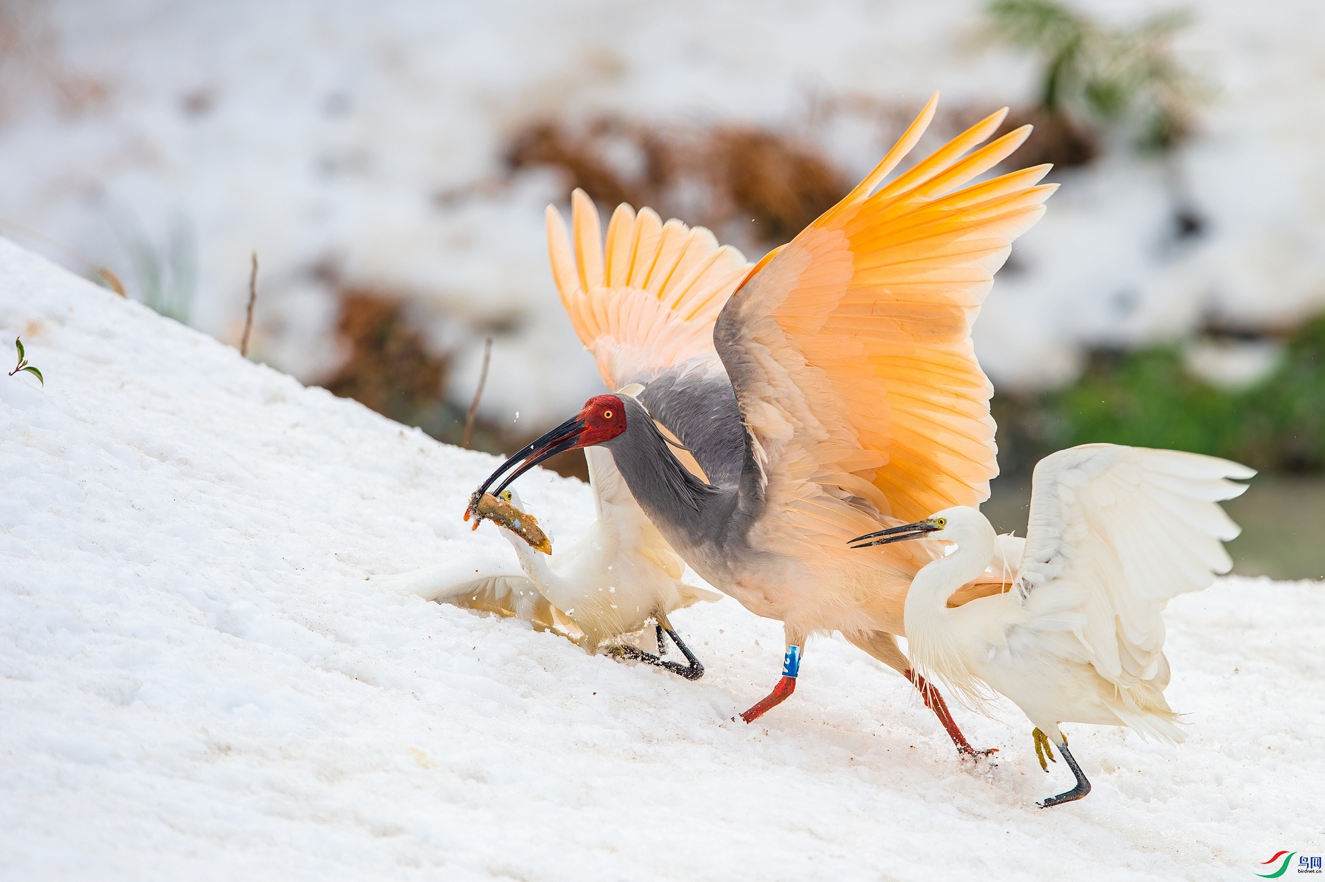 ��Ƭ_DSC7136.jpg