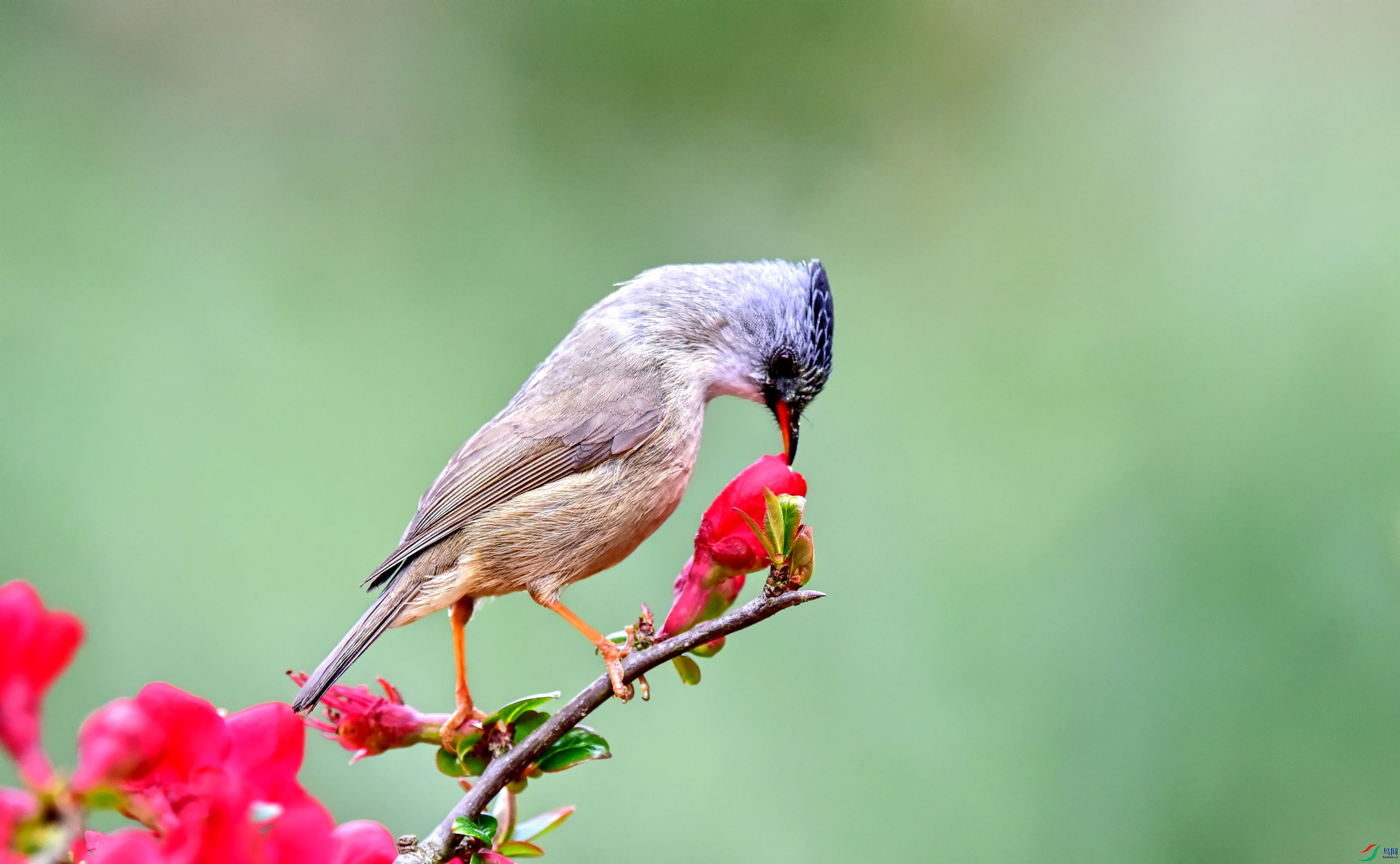 DSC_7997_conew2.jpg