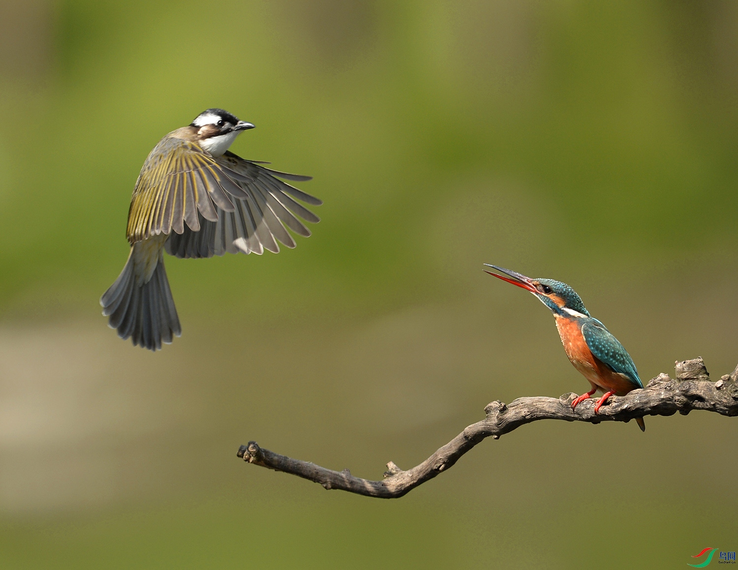 _DSC4952 - ����.JPG