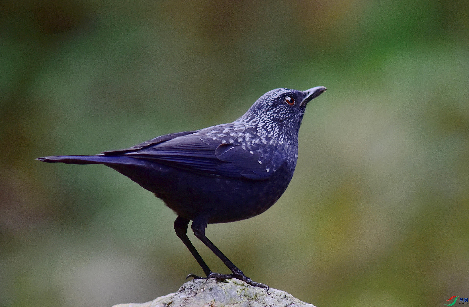 D8I_5955.jpg