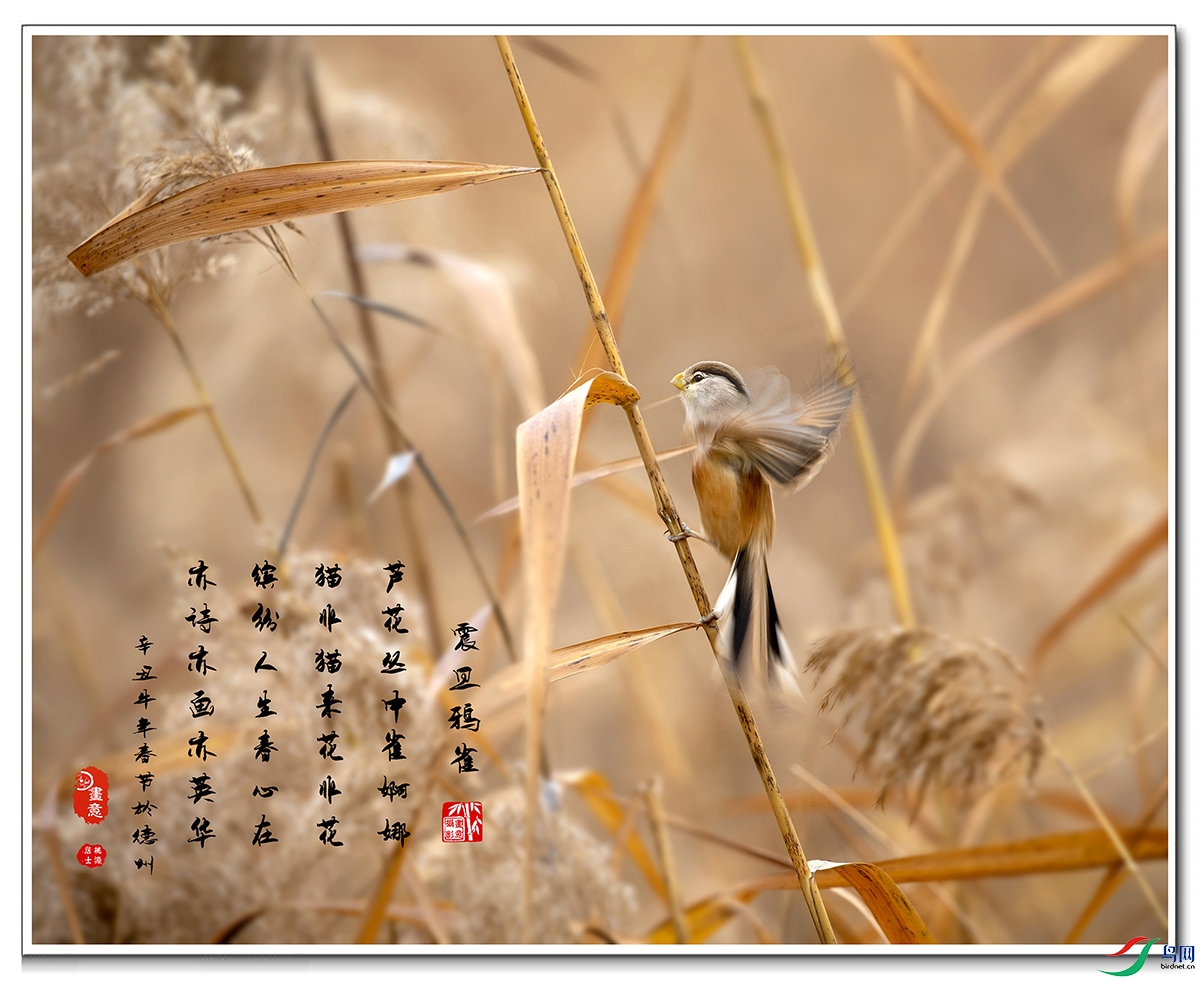 ������ȸ��(2) ����.jpg