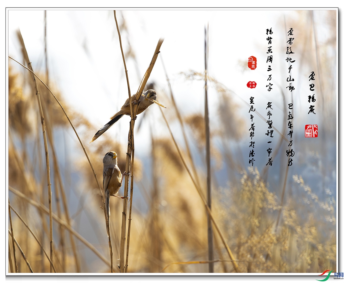 ������ȸ�� 2 ����.jpg