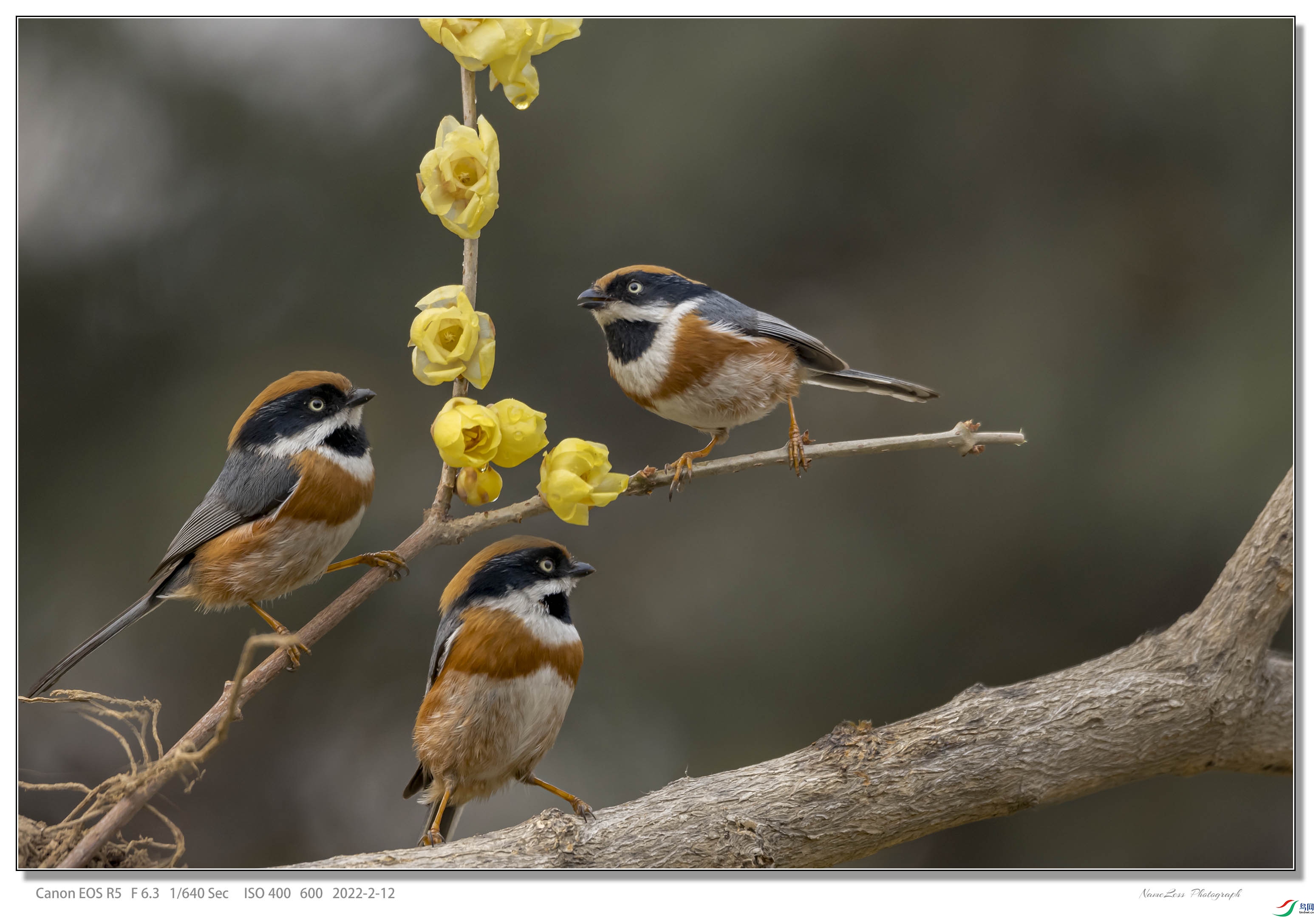 278A8251 ����.jpg