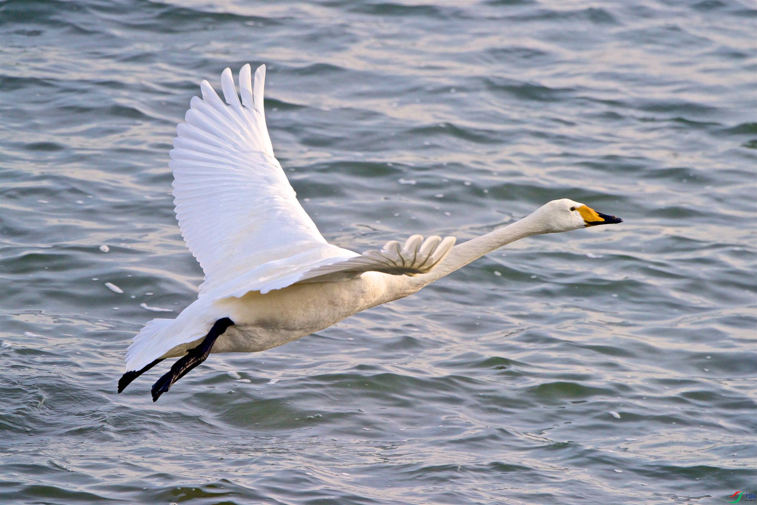 DSC_7428.jpg