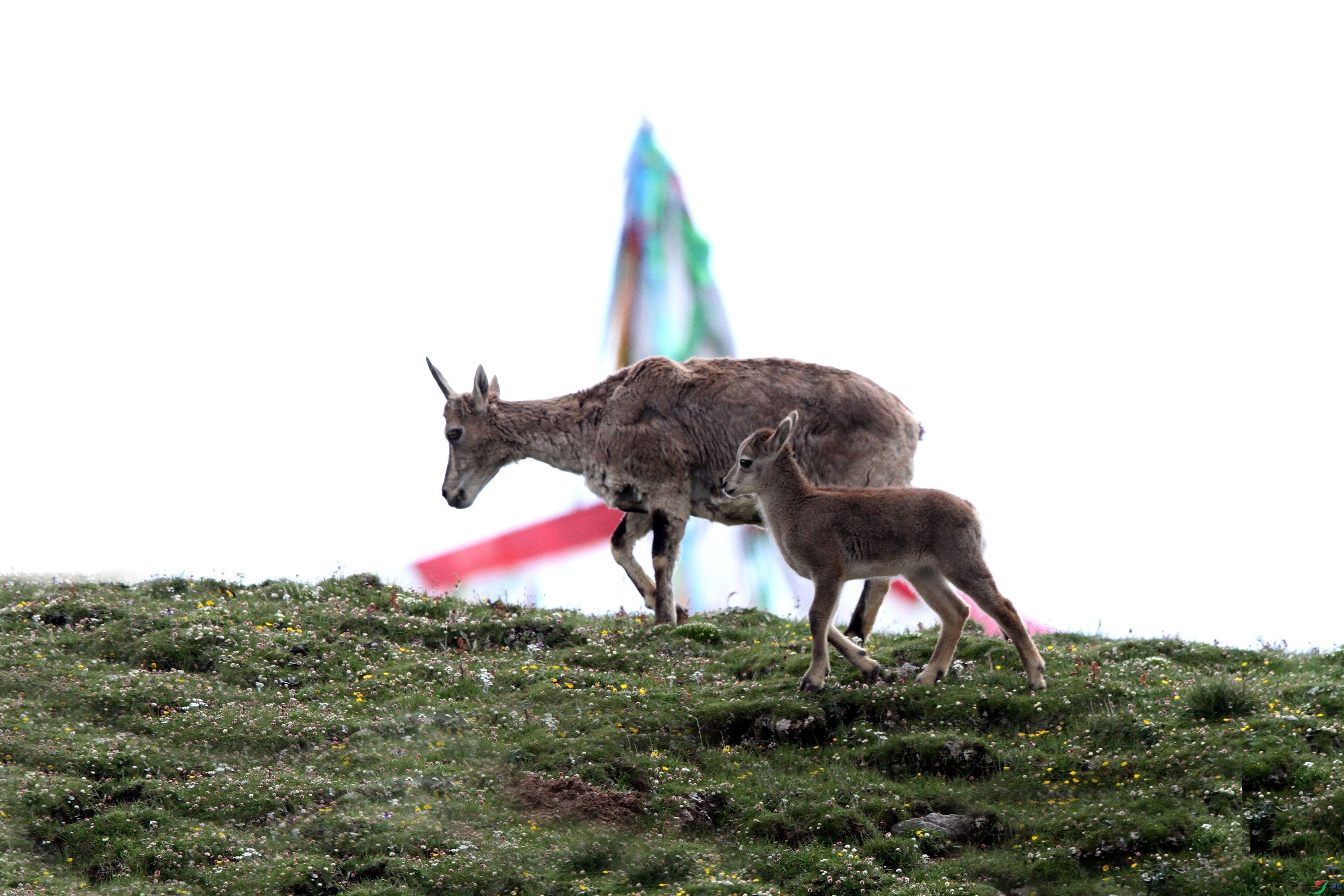 �������������Ҹ��� - ����_����.jpg