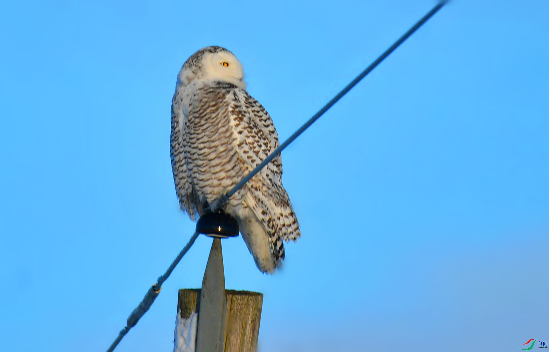 DSC_3499_����.jpg