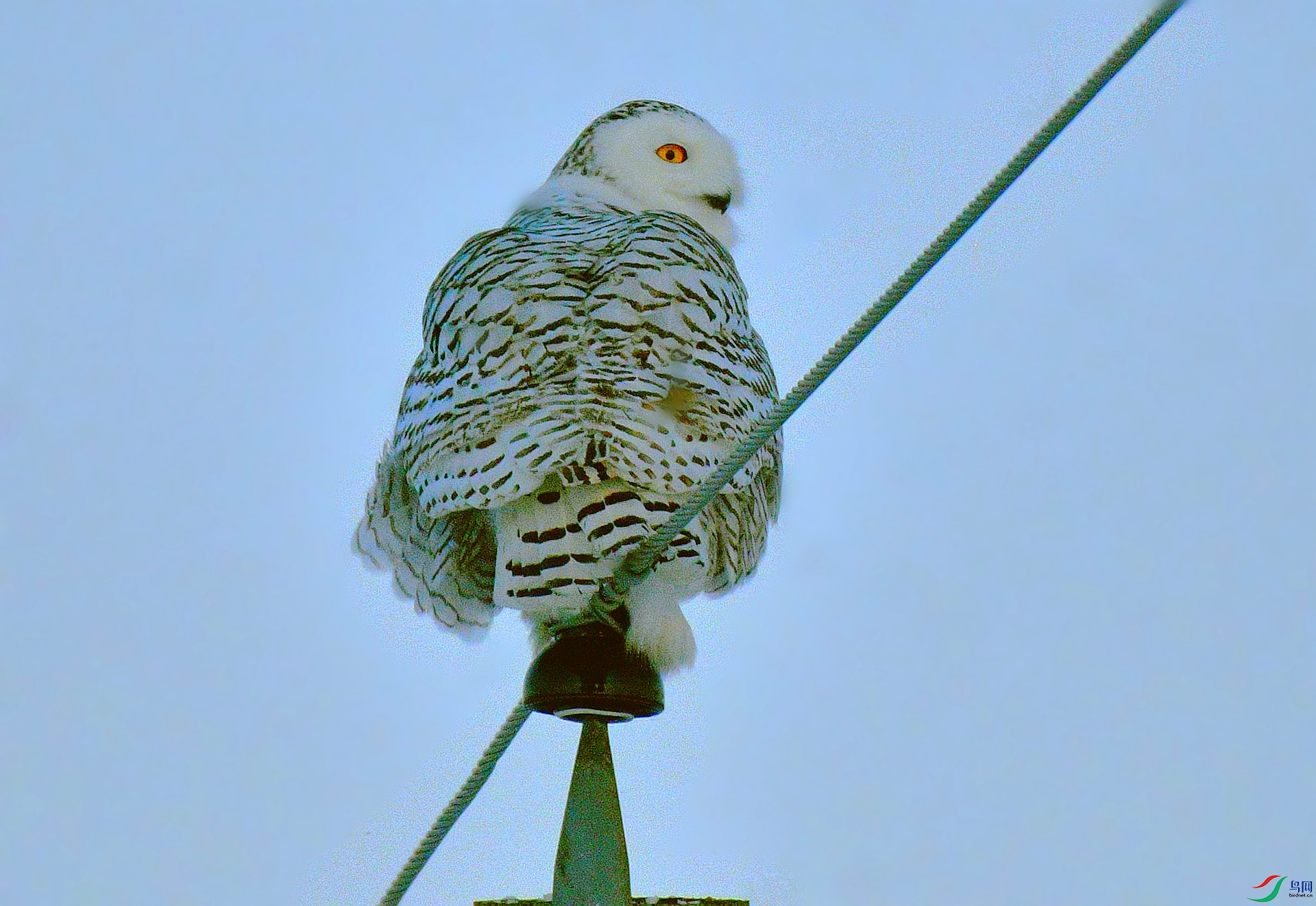 DSC_3825_����.jpg