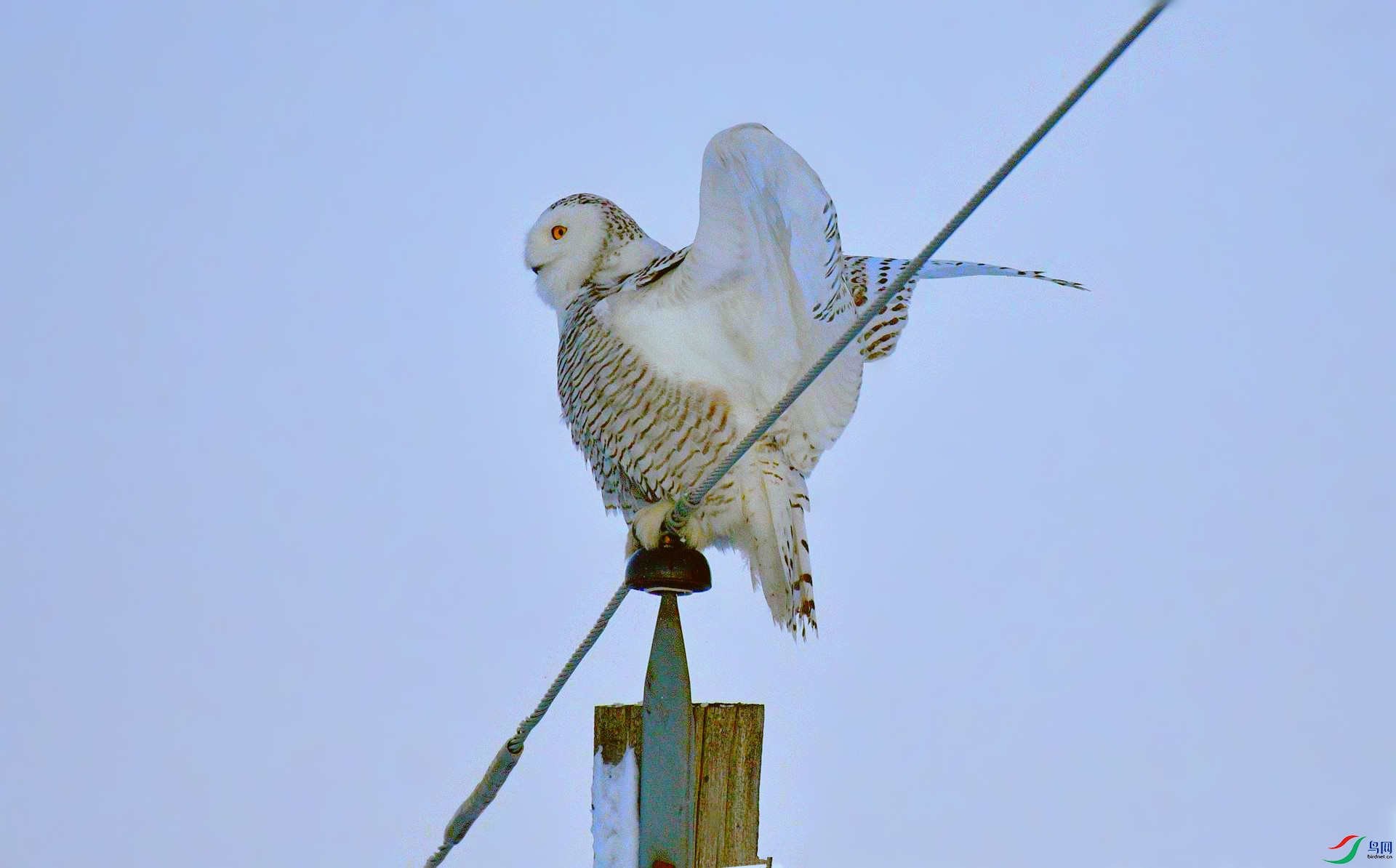 DSC_3845_����.jpg