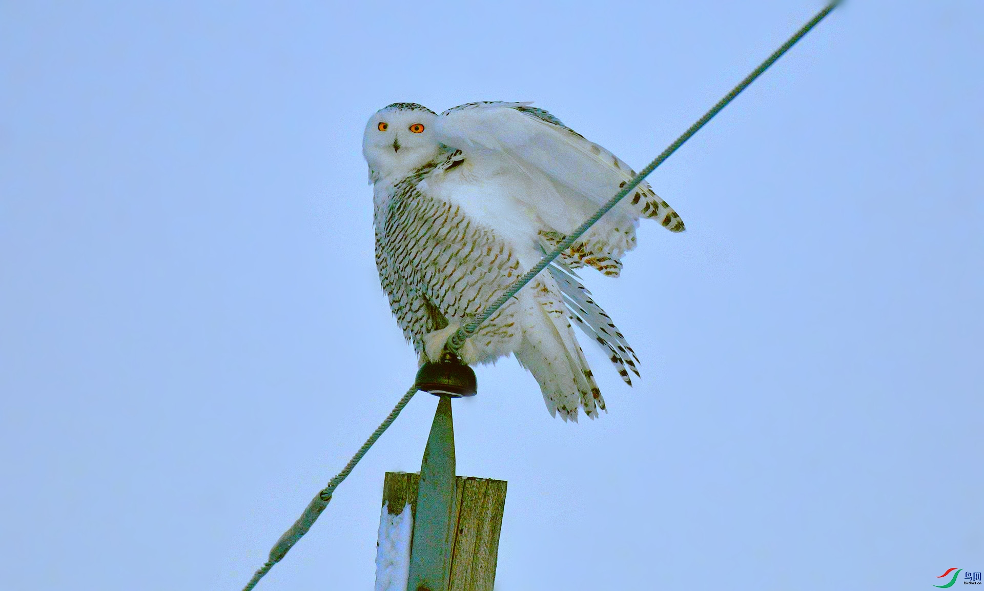 DSC_3847_����.jpg