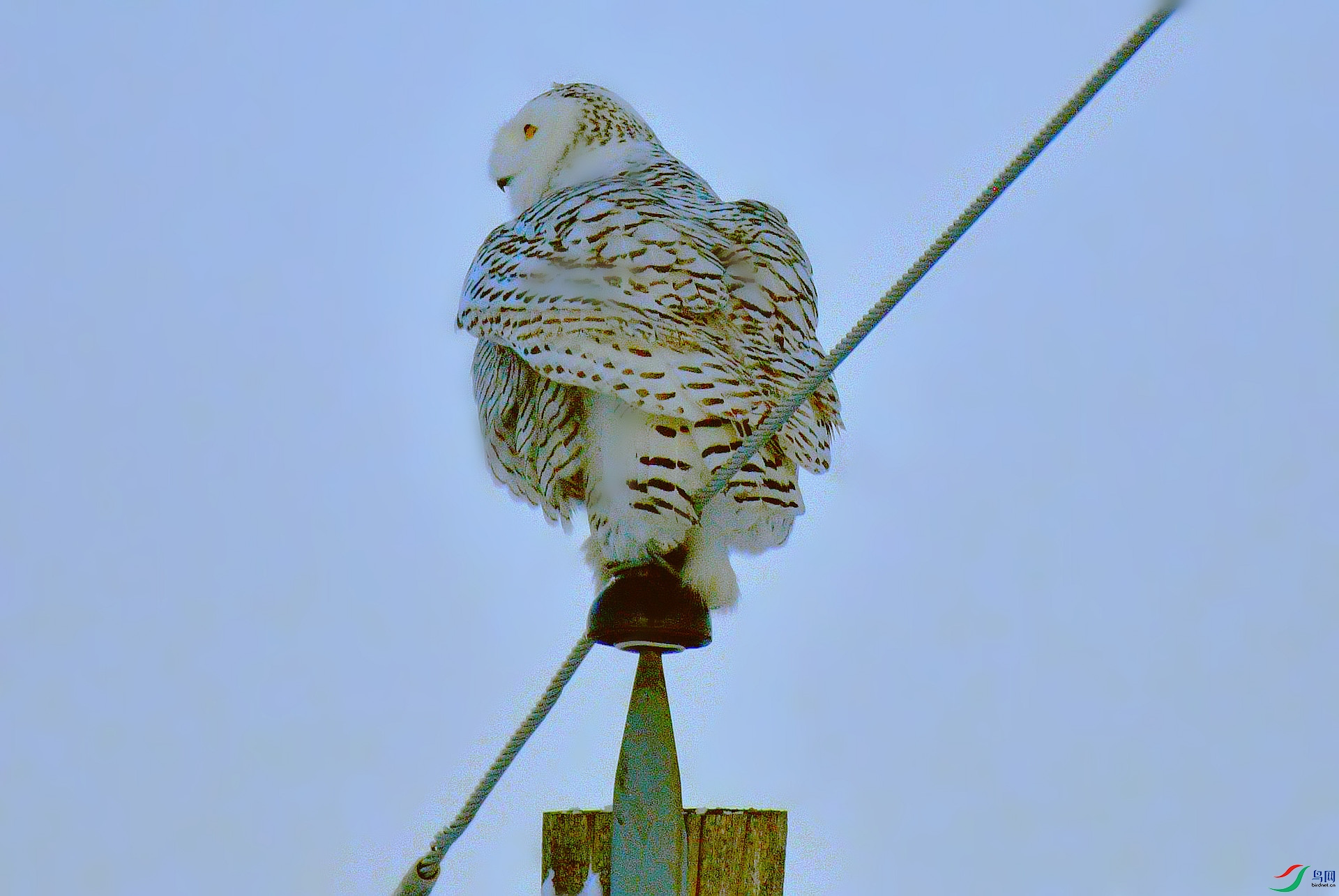 DSC_3834_����.jpg