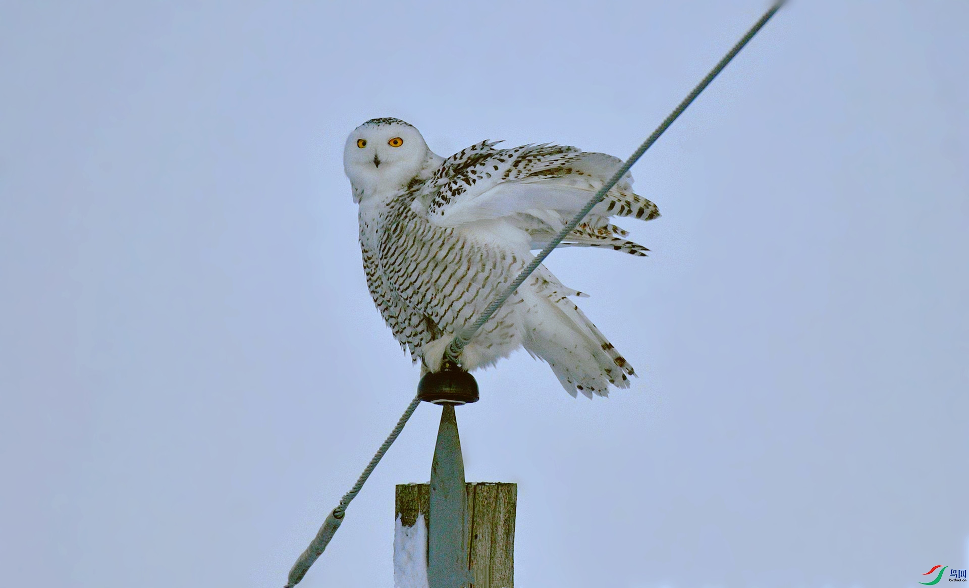 DSC_3848_����.jpg