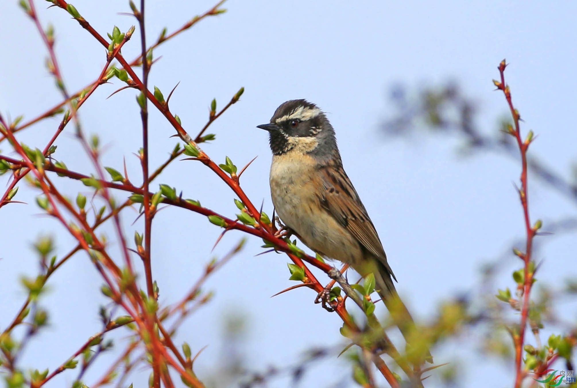 ��Ҳ����  ��ʦ�������½�**��������****��.jpg