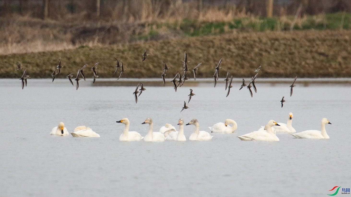 һȺС�ַɹ����Ⱥ