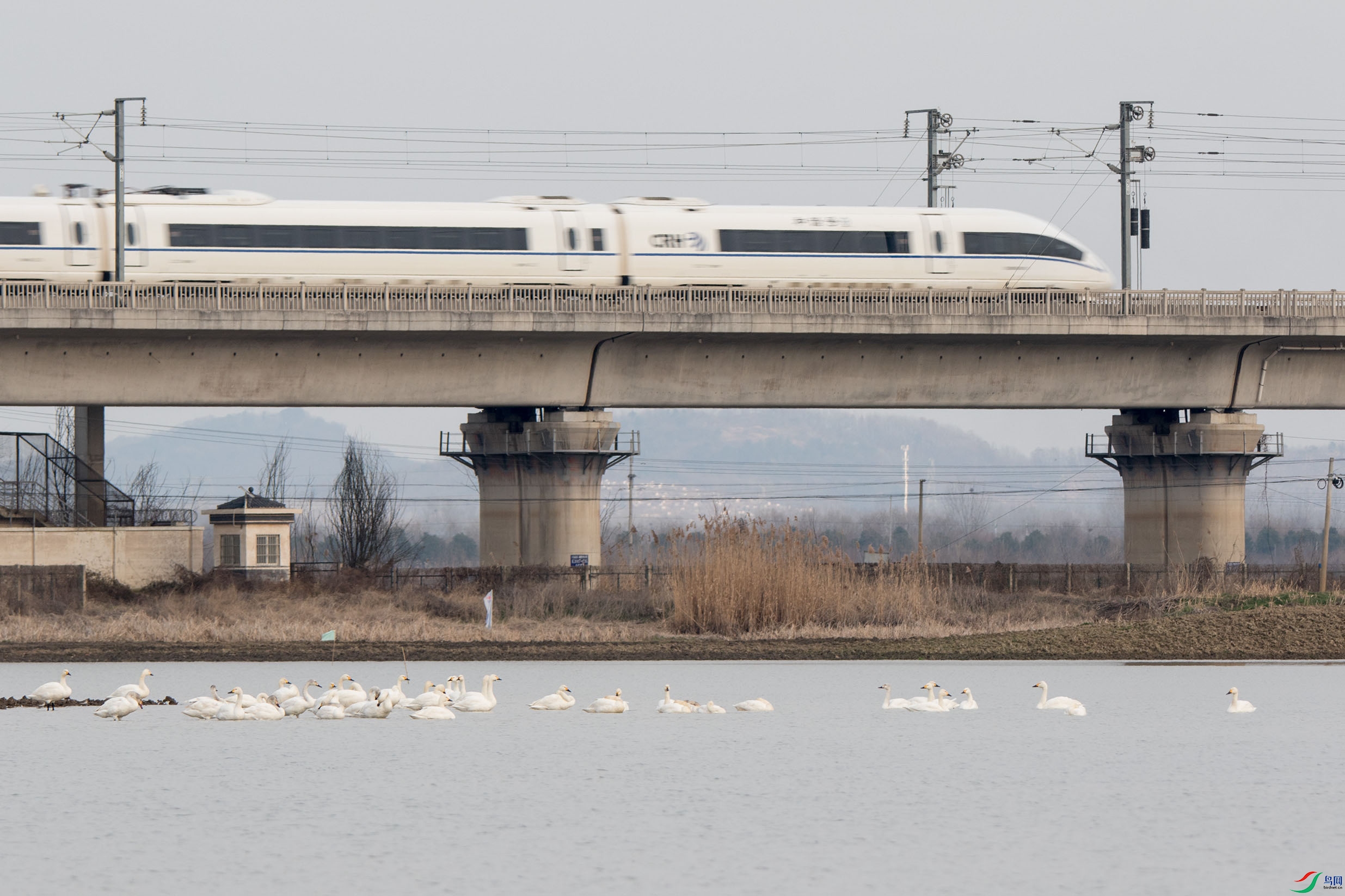 һ�㶼���¸���