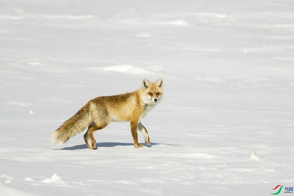 _DSC7483.jpg