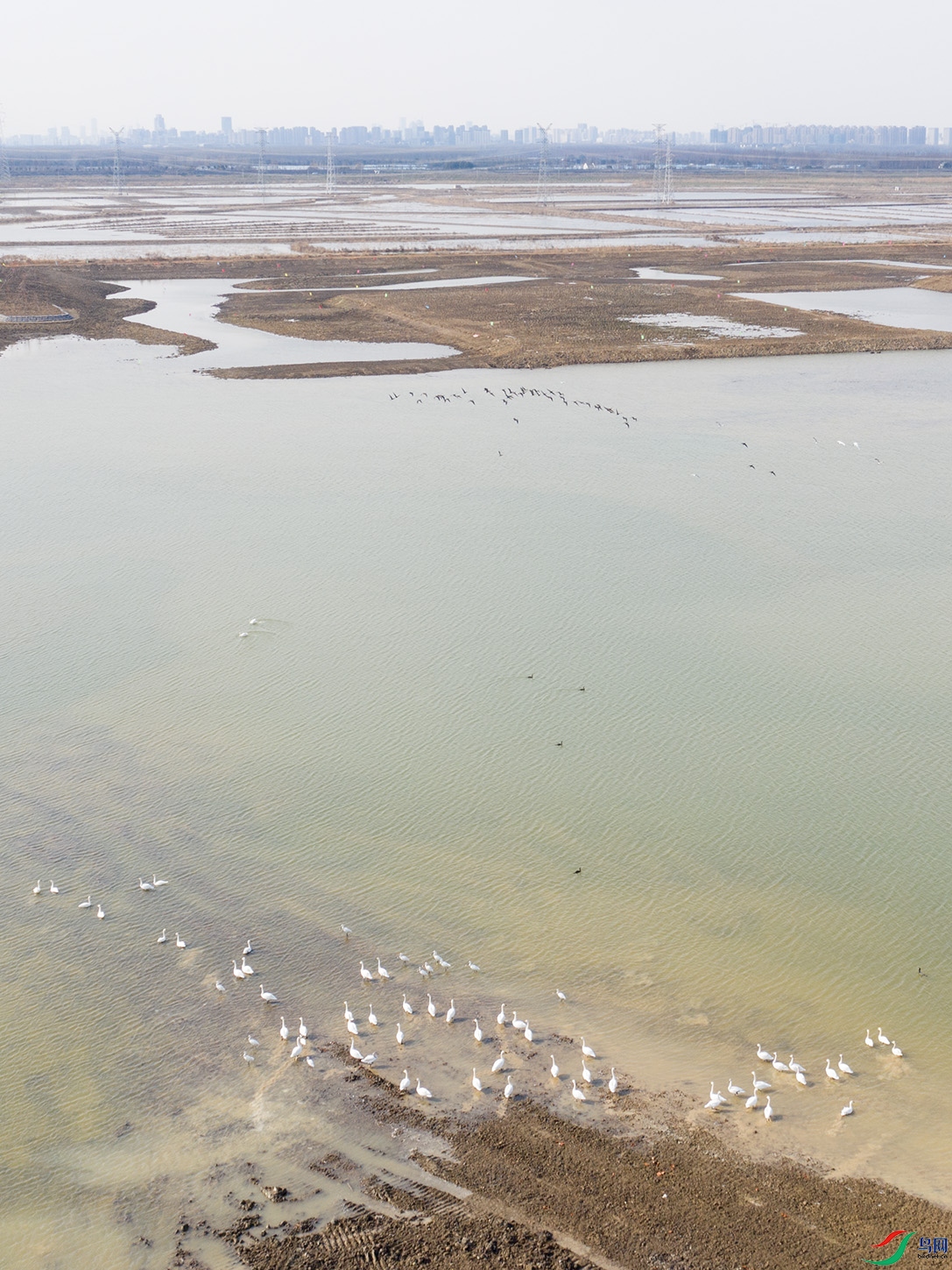 DJI_0397.jpg