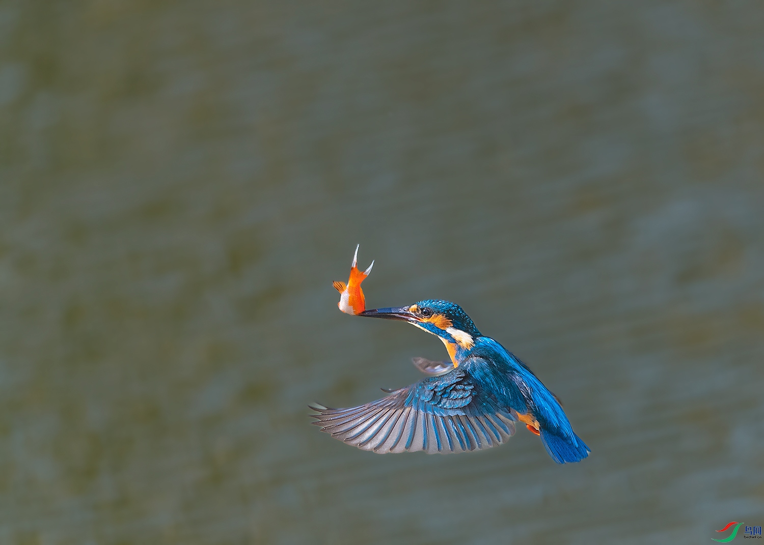 DSC_9083-2.jpg
