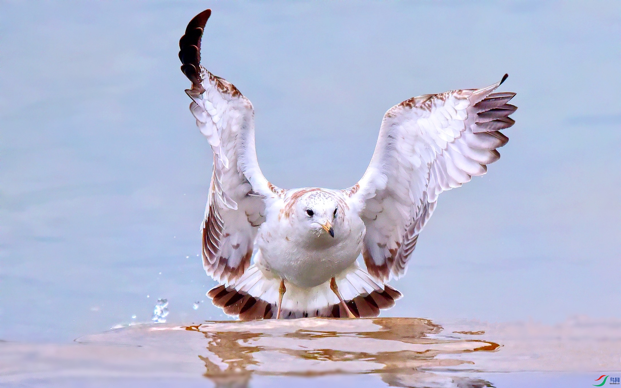 DSC_8649_conew2.jpg