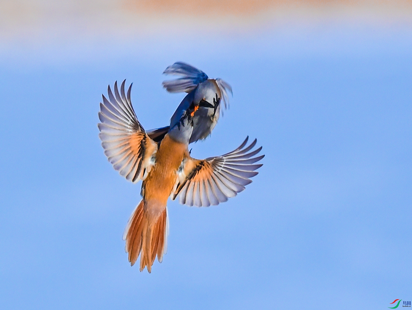 ����ʪ�����뼤ս��