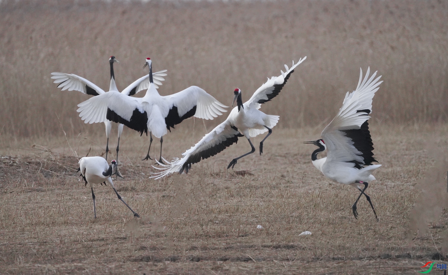 DSC00918 ����.sjpg.jpg