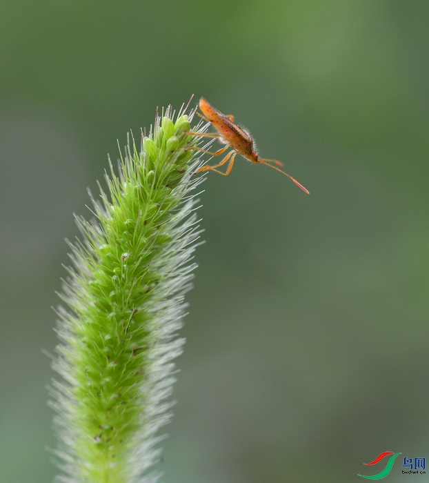 DSC_0545---.jpg