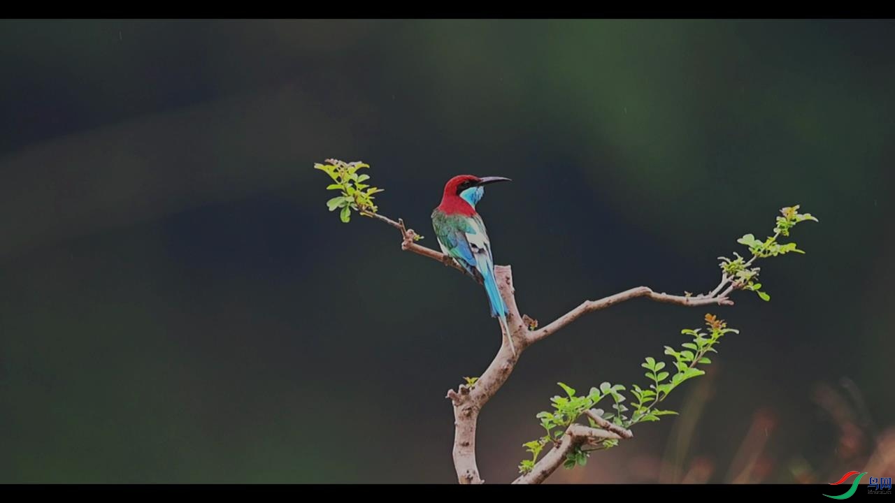 2022-01-23 10-56-40.jpg