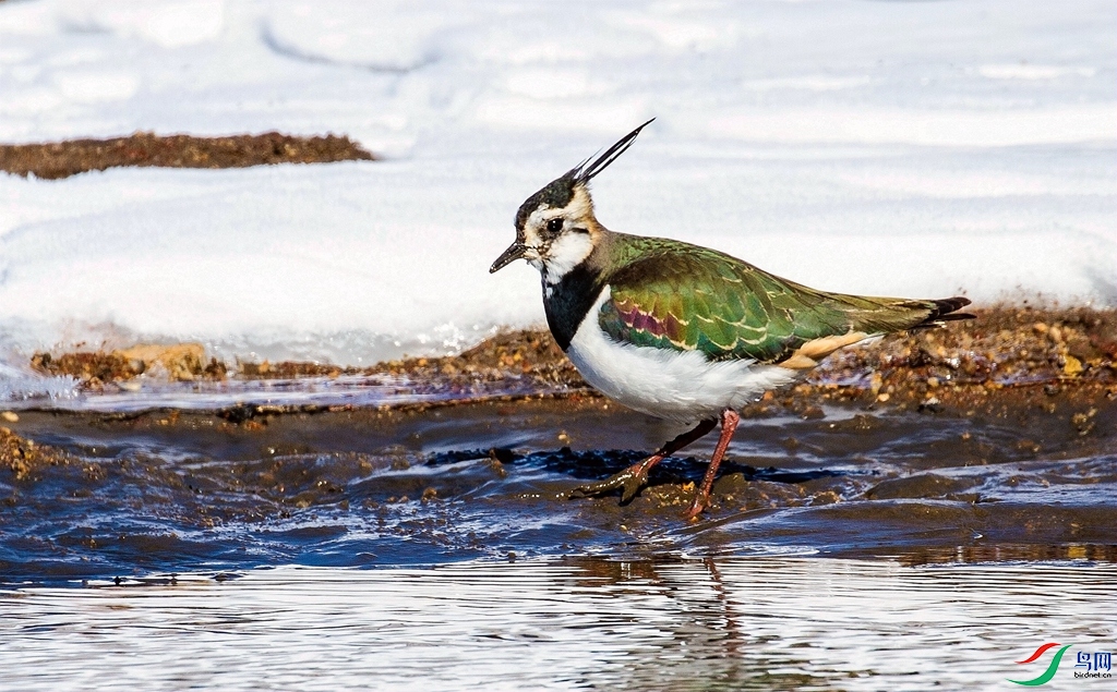 ��̲���� (1).jpg