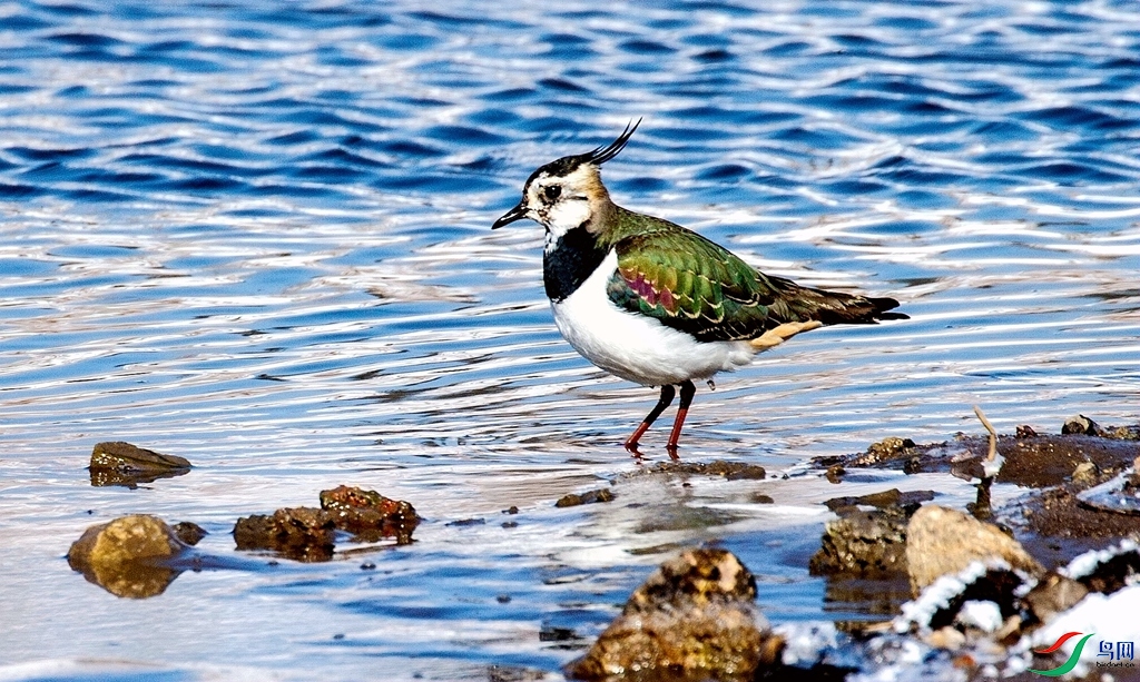 ��̲���� (4).jpg