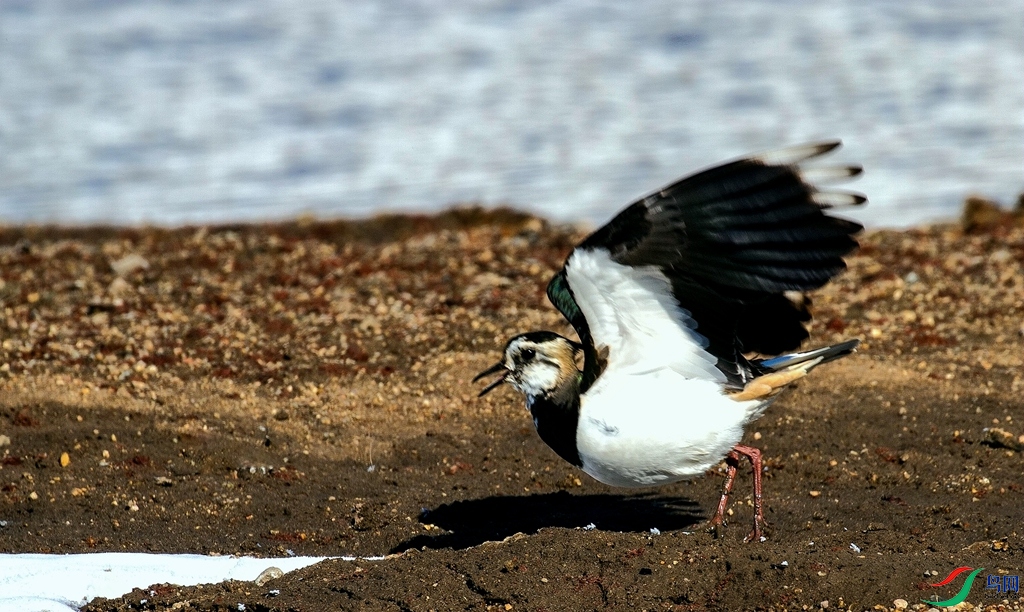 ��̲���� (5).jpg