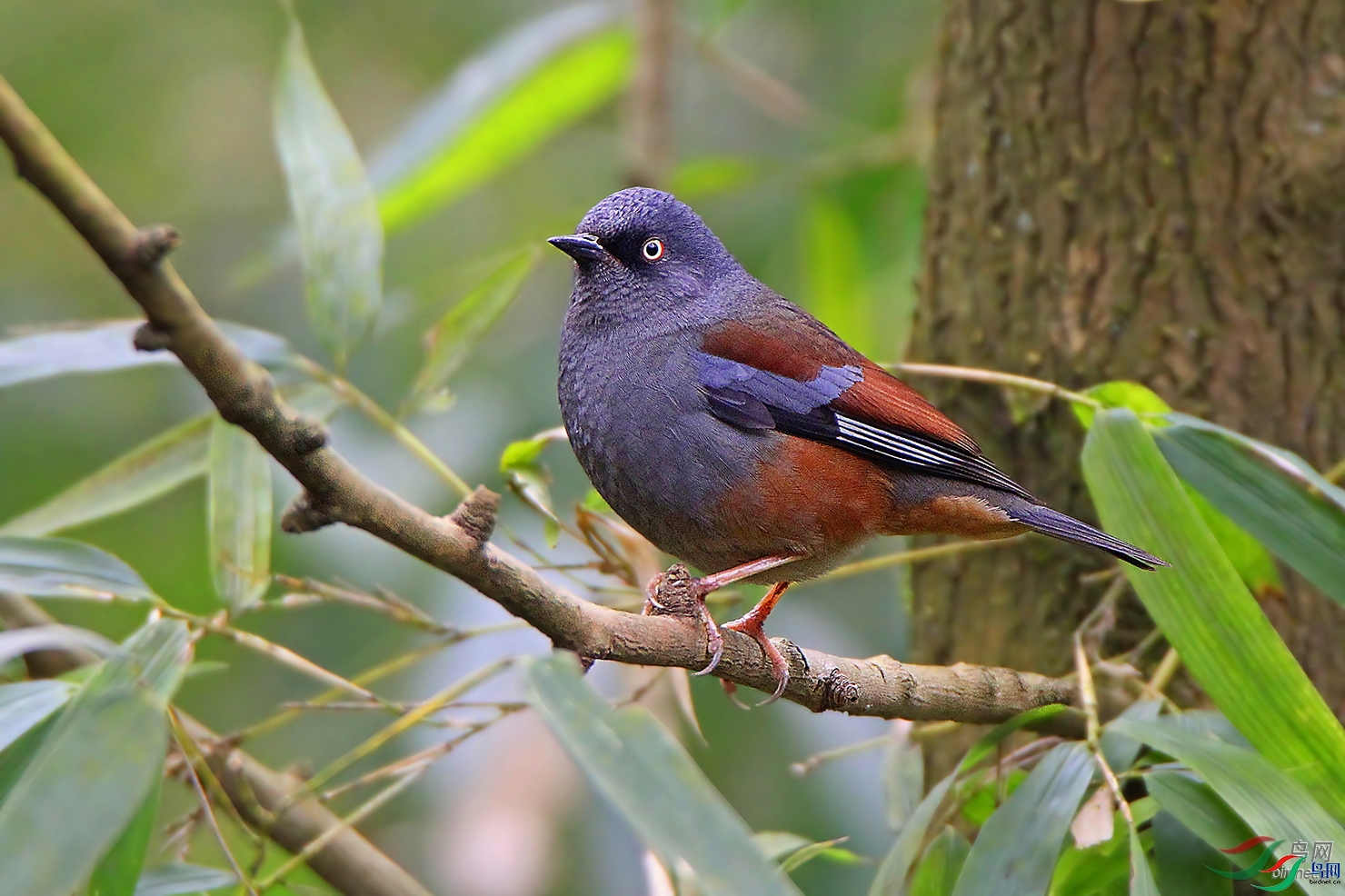 �����ҷ�  ��ʦ�������Ĵ�ʡ������������.jpg